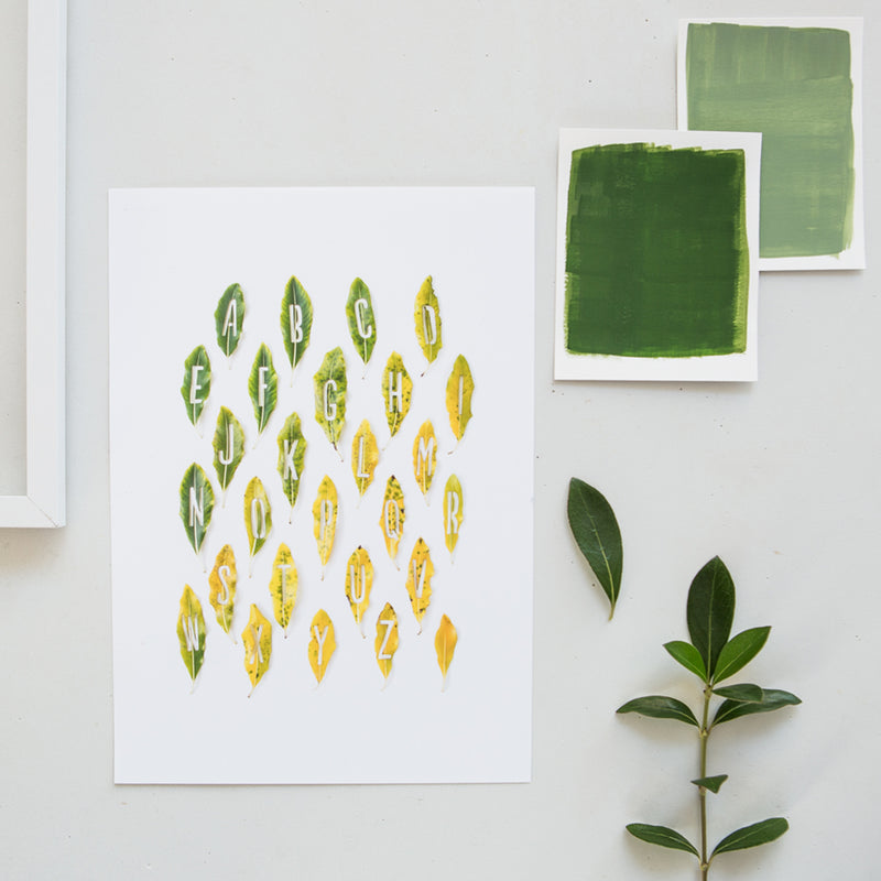 Nature's Alphabet Print